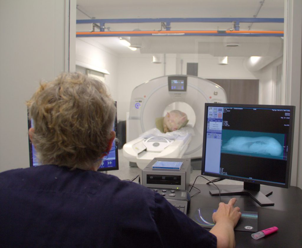 Primeiros reprodutores avaliados por tomografia computadorizada na Delta Canadá